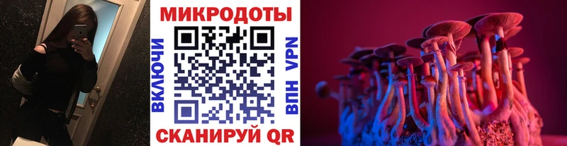 цена   Корсаков  Галлюциногенные грибы мухоморы 