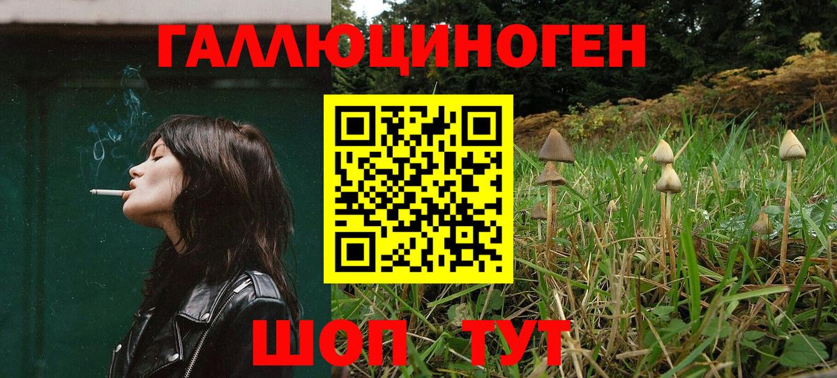 Корсаков  Псилоцибиновые грибы Psilocybine cubensis  Вход с VPN 